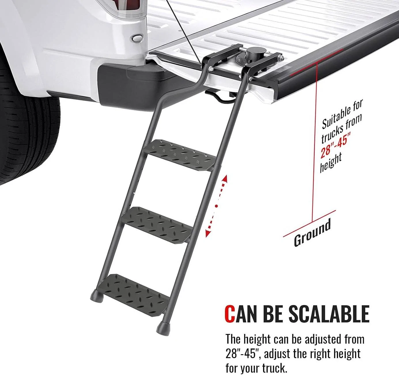 TG ladder.webp