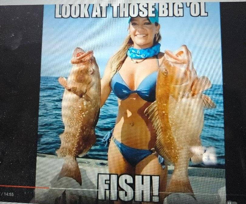 Ford Ranger Let’s see your Memes! IMG_5510