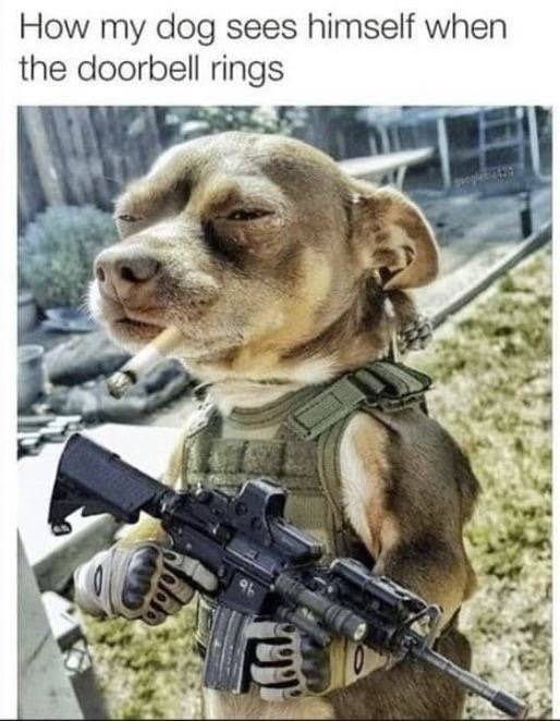 Ford Ranger Let’s see your Memes! Image 1