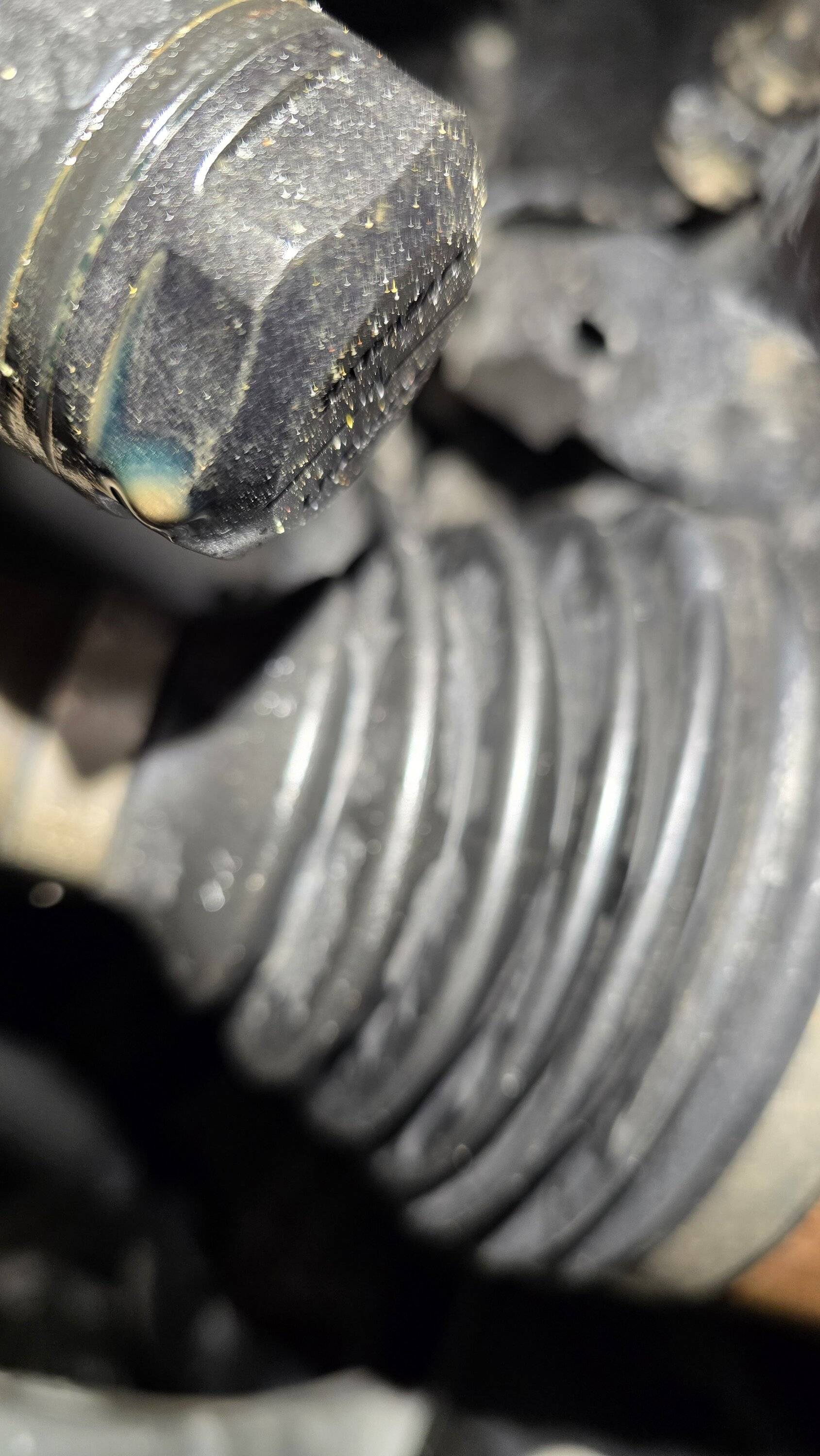Ford Ranger Both front shocks leaking.. 20250126_093207