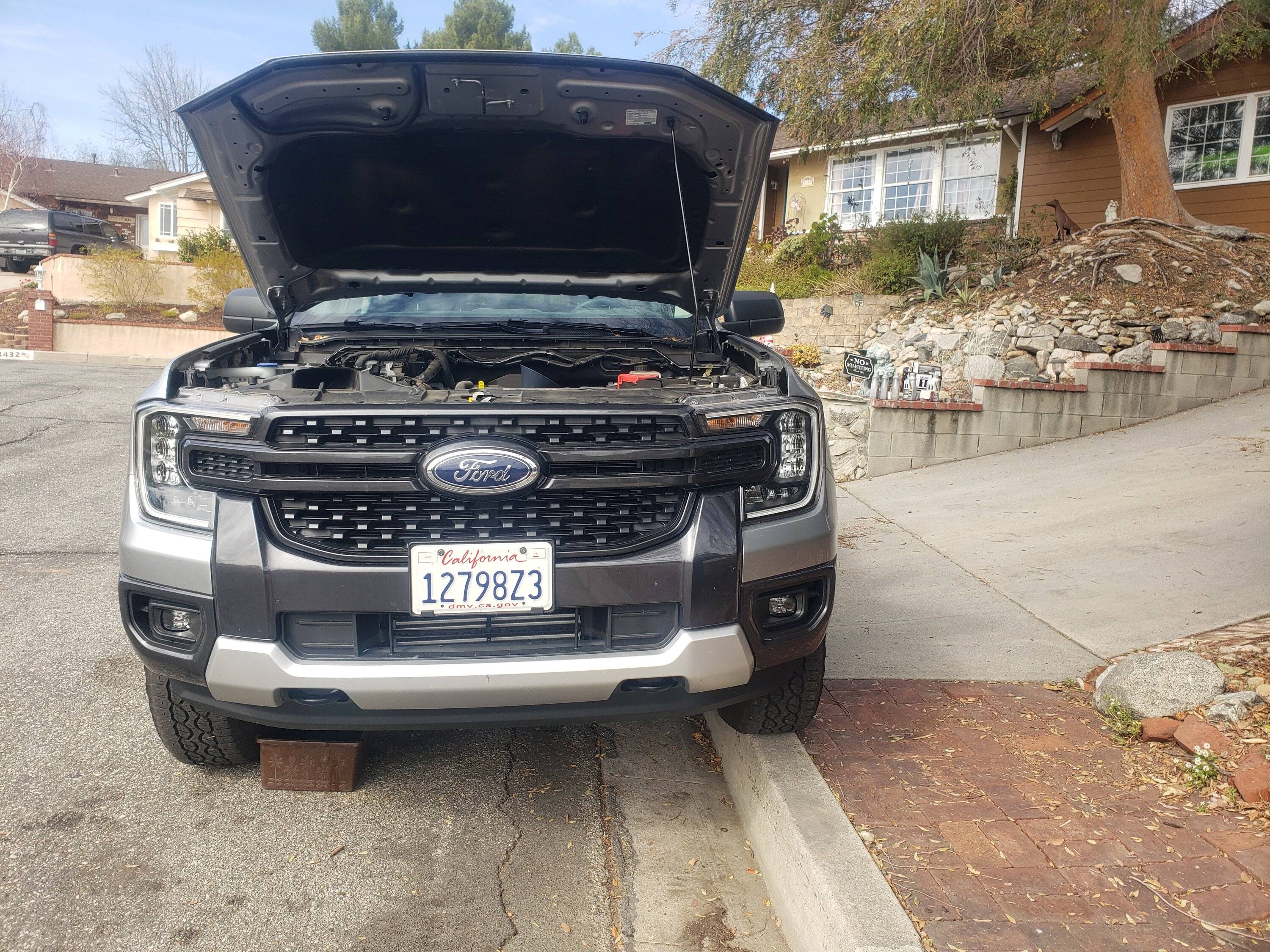 truck on curb.jpg