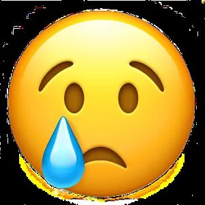 1739027691587-xl.webp