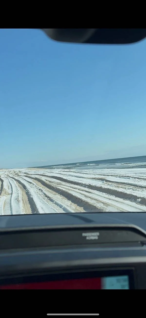 Ford Ranger XL Ranger Does well in Snow/Sand Beach Off-roading ranger 3