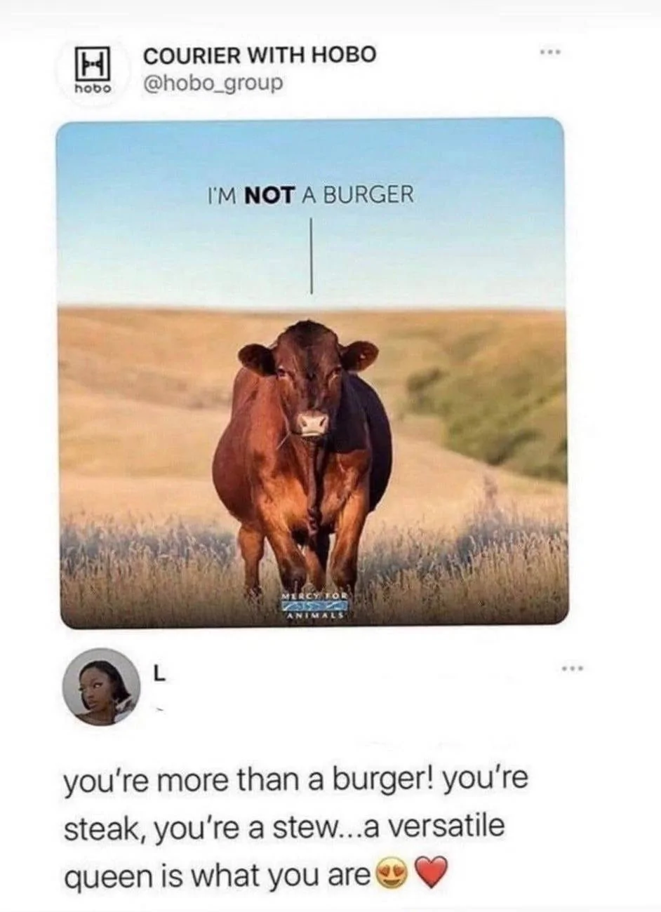Ford Ranger Let’s see your Memes! IMG_8855