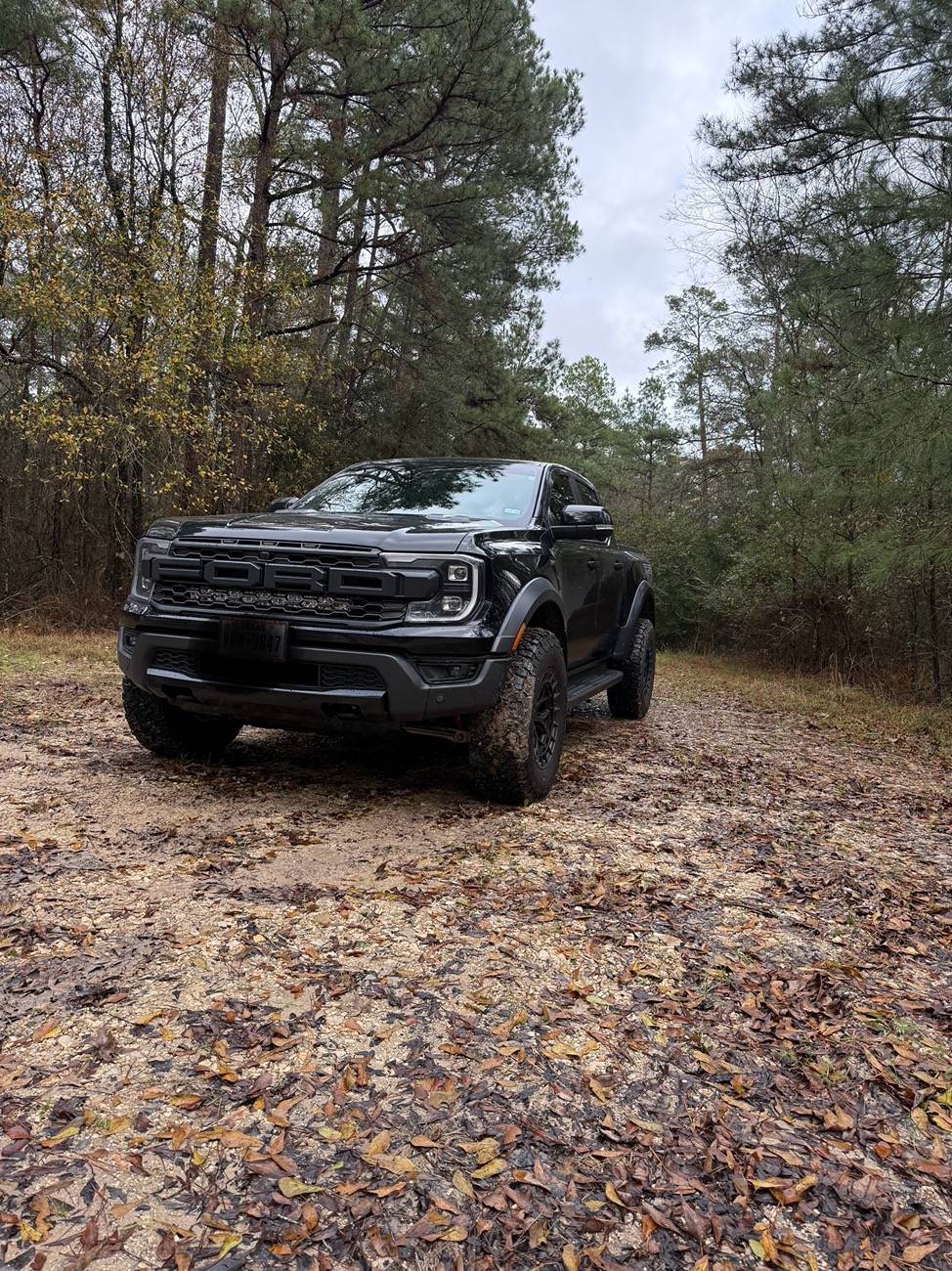 Ford Ranger Altiq Light Bar + F150LEDs Grille lights (White) + Blackout lower grille IMG_9738