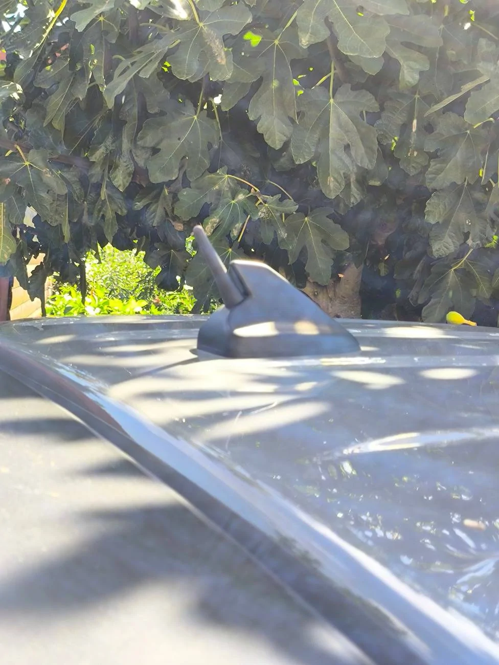 Ford Ranger Little stubby replacement antenna IMG_20240904_143639