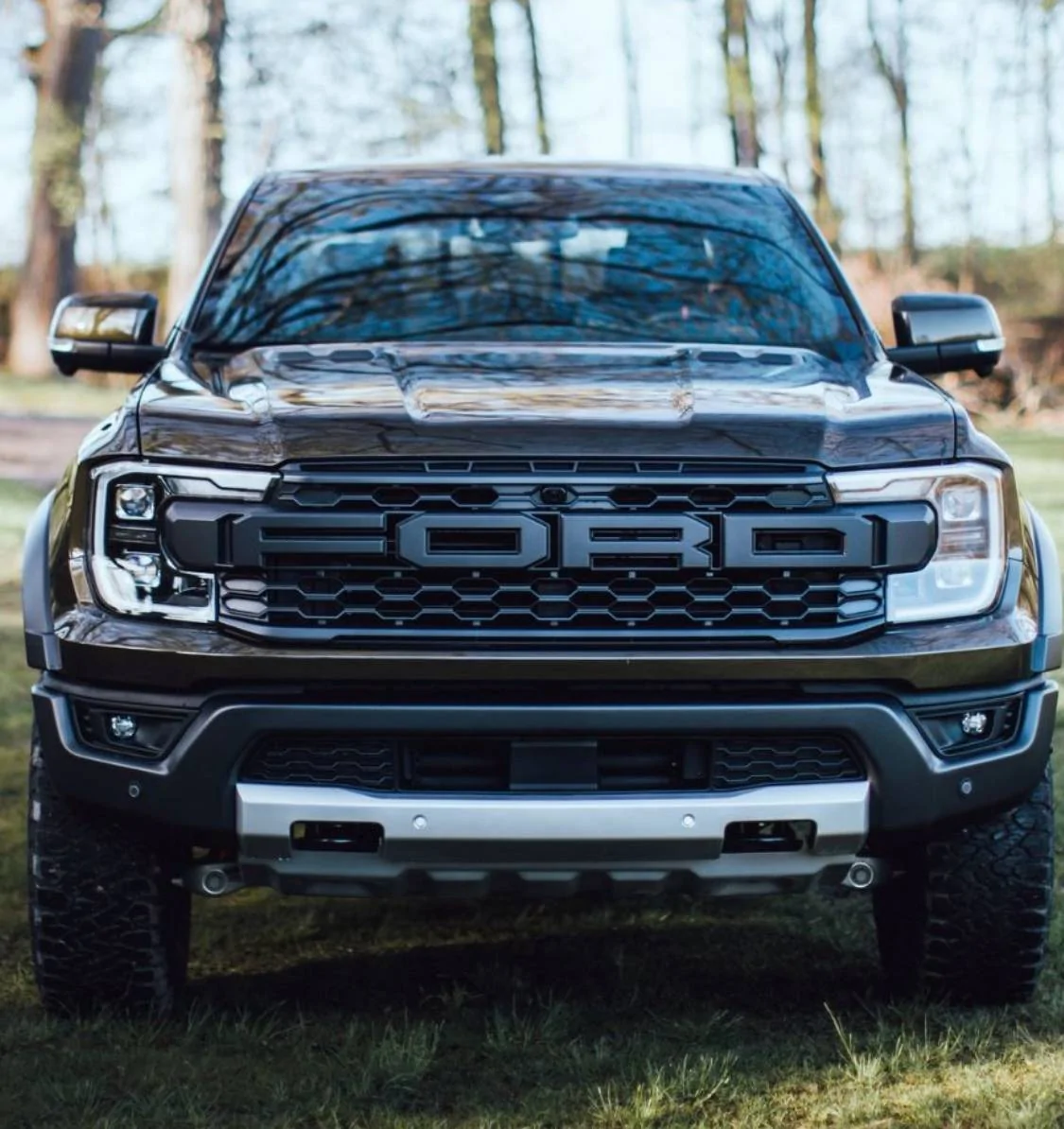 Ford Ranger Raptor front end on a lariat IMG_6284