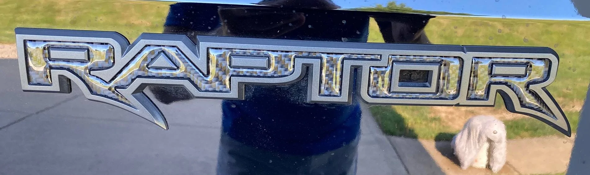 Ford Ranger Rear Raptor Stainless Emblem Inserts??? F55753B7-A01C-4D1F-A48B-BC3BD4185729