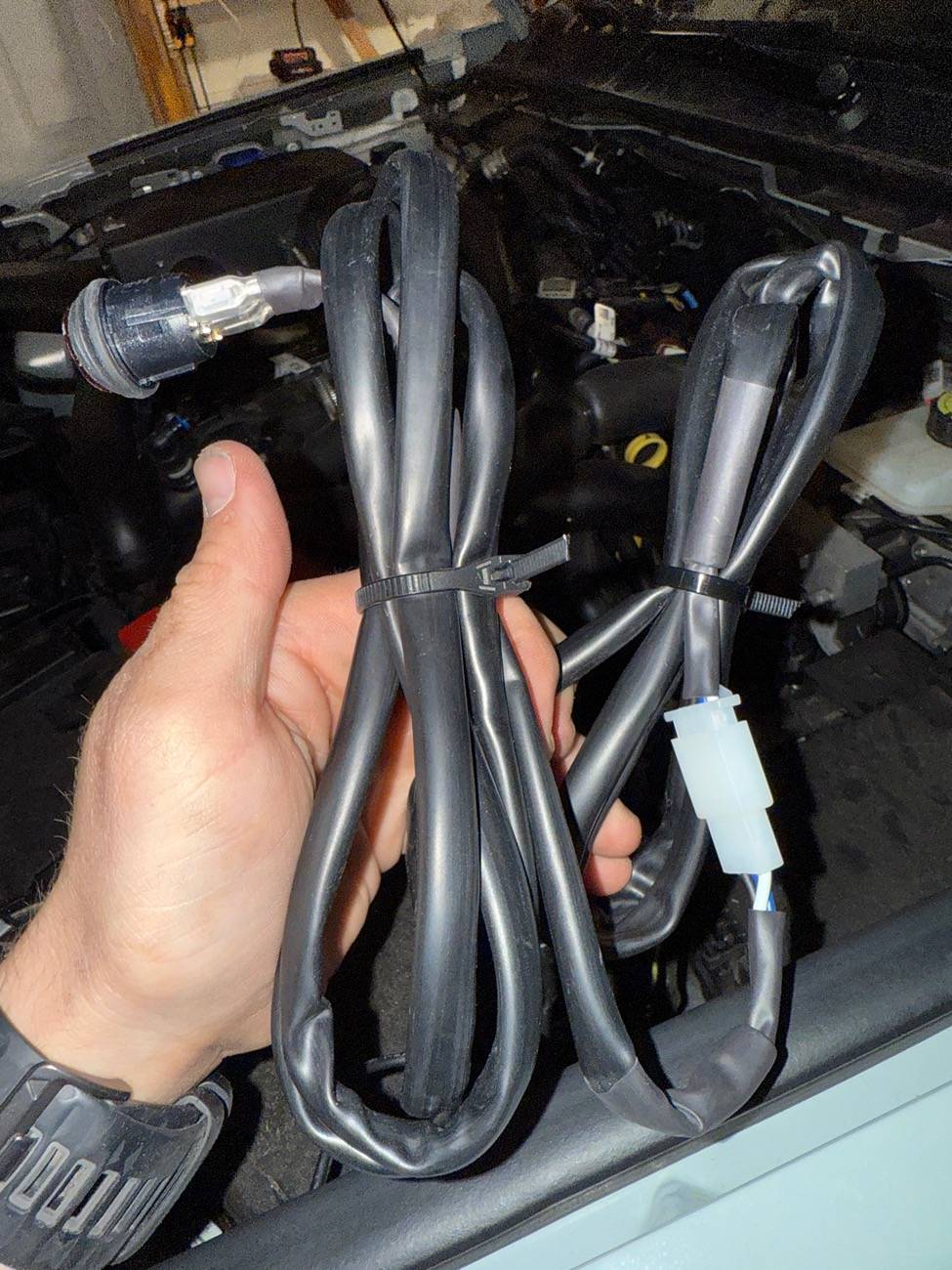 Ford Ranger Baja Squadron Sport Install - Switch on harness IMG_5327