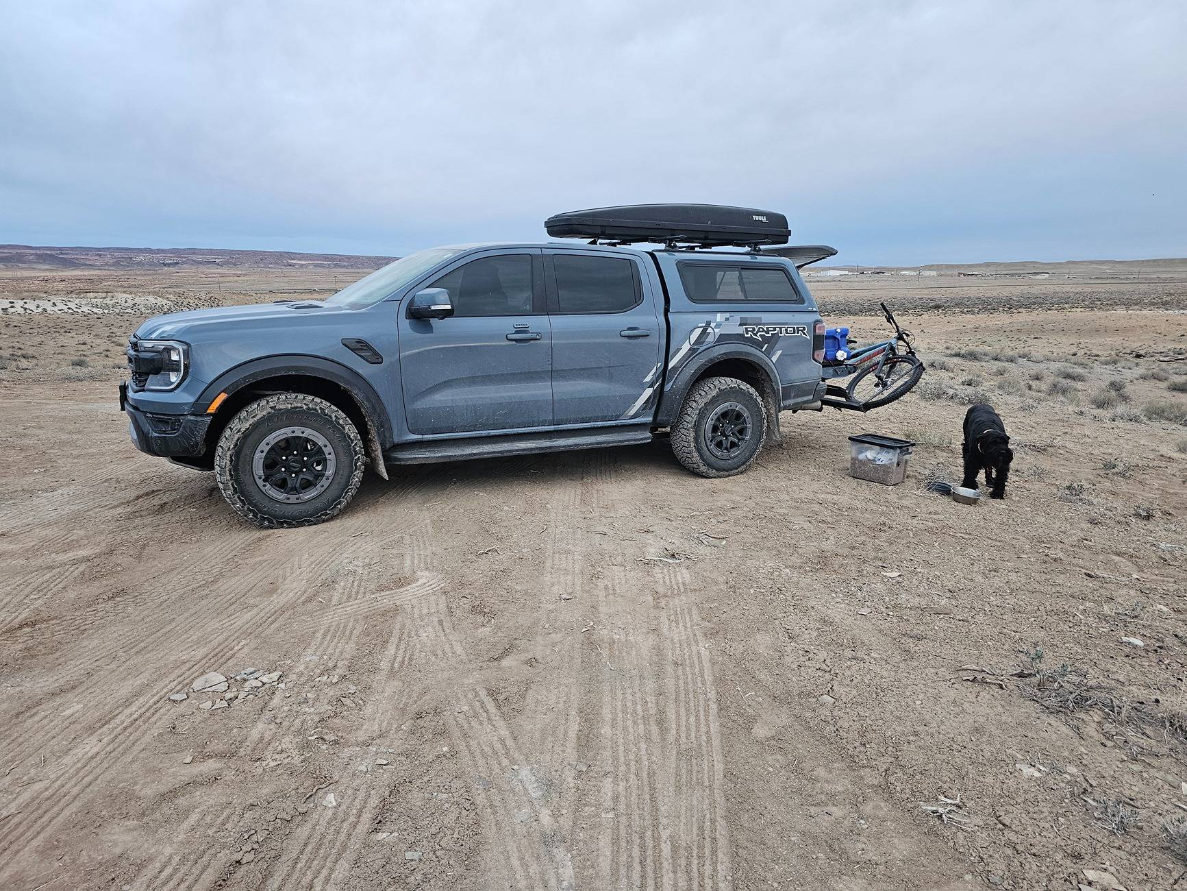 Ford Ranger Am I in the minority here? Factory graphics 20250317_073138