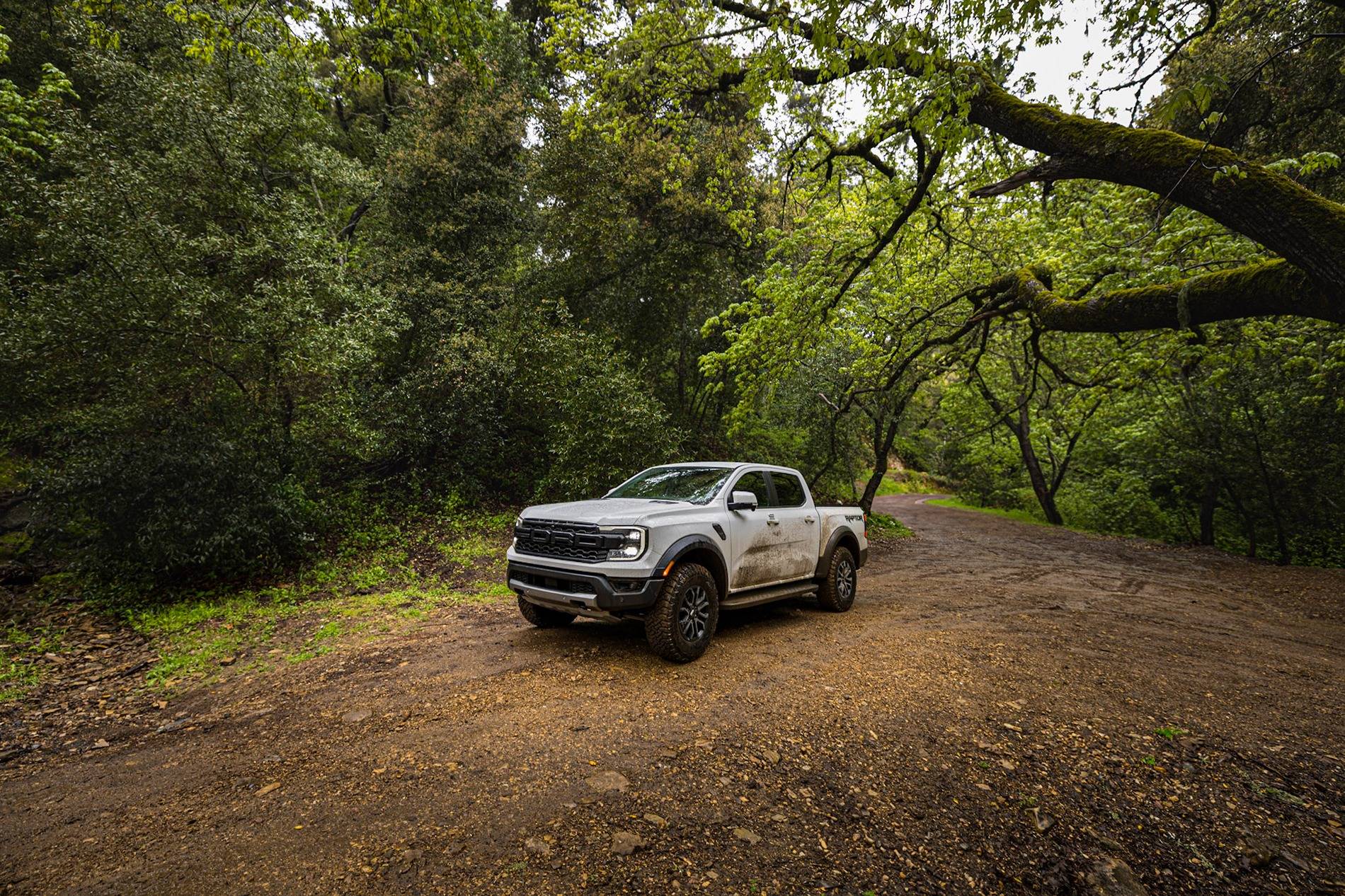 Ford Ranger Ranger Raptor Photos Thread - Post Your Random Dailys 📸 2-_39A2517