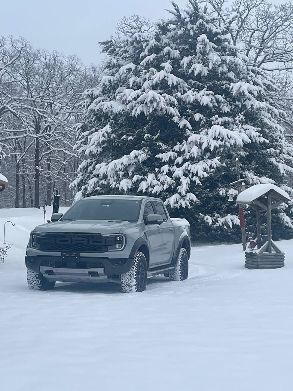 Ford Ranger Ranger Raptor Photos Thread - Post Your Random Dailys 📸 IMG_4324