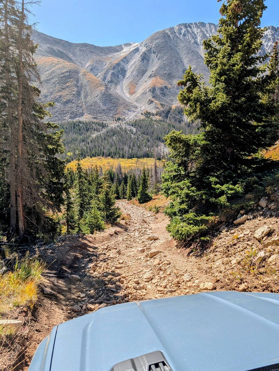 Ford Ranger Ranger Raptor Photos Thread - Post Your Random Dailys 📸 1000000677