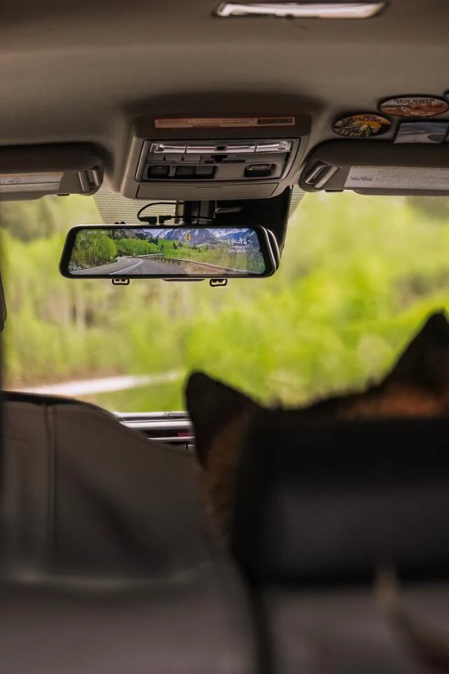 Ford Ranger Are You a Cat Person or a Dog Person? Copilot2