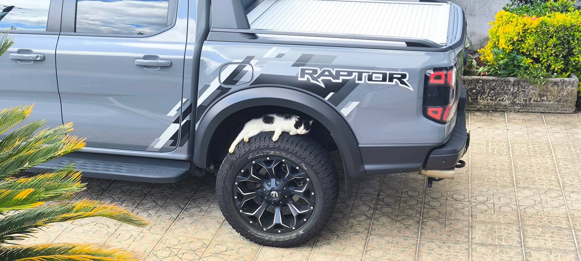 Ford Ranger German Raptor IMG_20250505_131657