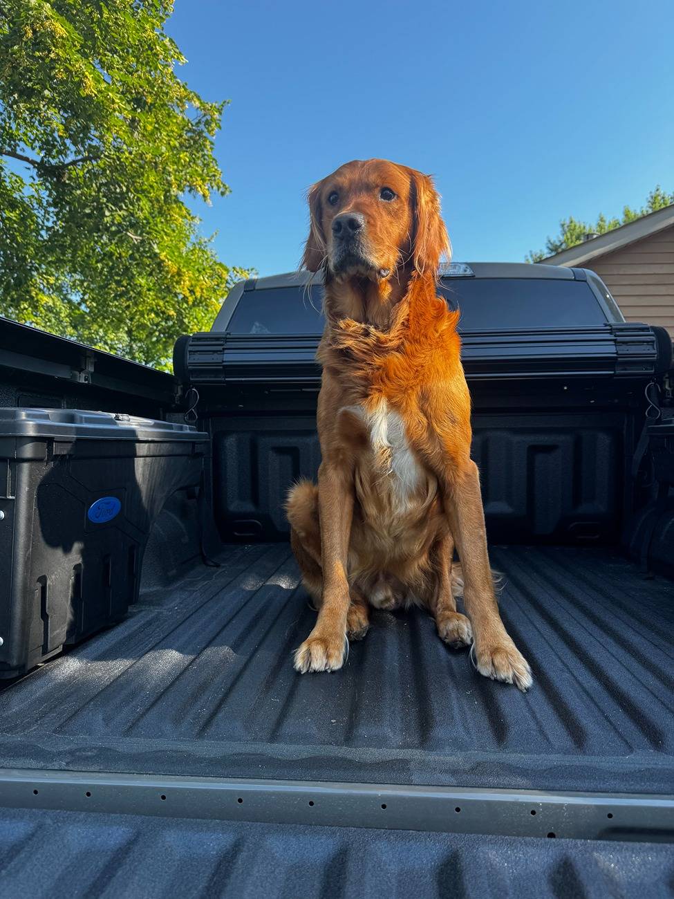 Ford Ranger What did you DO TO your 6G Ranger today? 🧰 🛠️ ⚙️ 🧽 IMG_2631