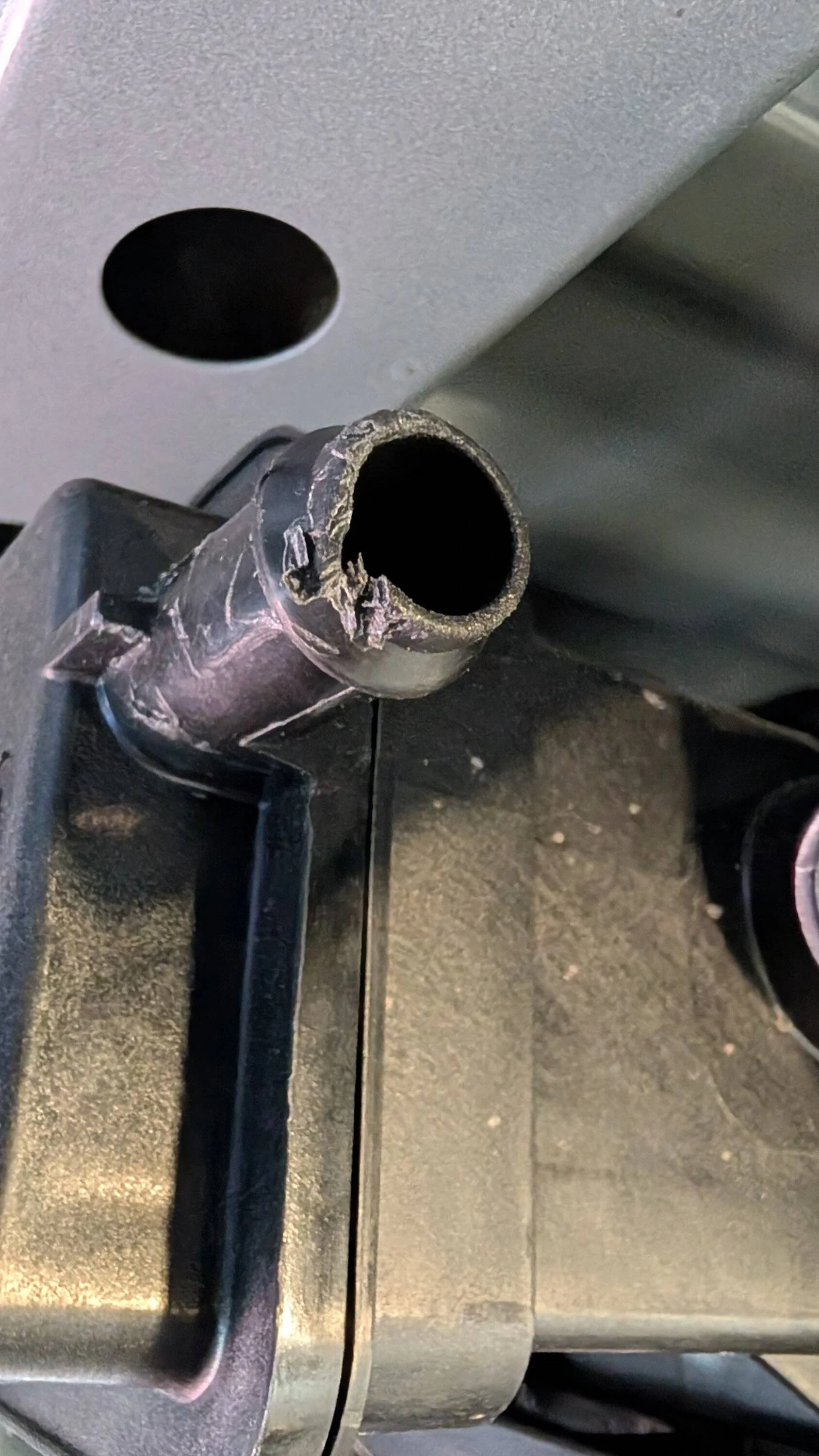 Ford Ranger RAT? Chewed thru EVAP can vent tube 90deg silicone rubber elbow coupling and Dealer Invoiced $154.50 for part! PXL_20250710_161824376.MP