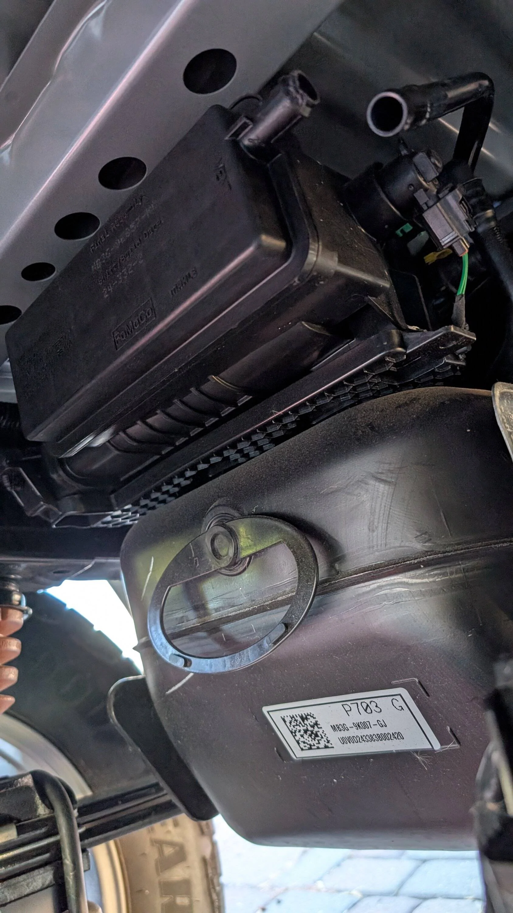 Ford Ranger RAT? Chewed thru EVAP can vent tube 90deg silicone rubber elbow coupling and Dealer Invoiced $154.50 for part! PXL_20250710_161846332