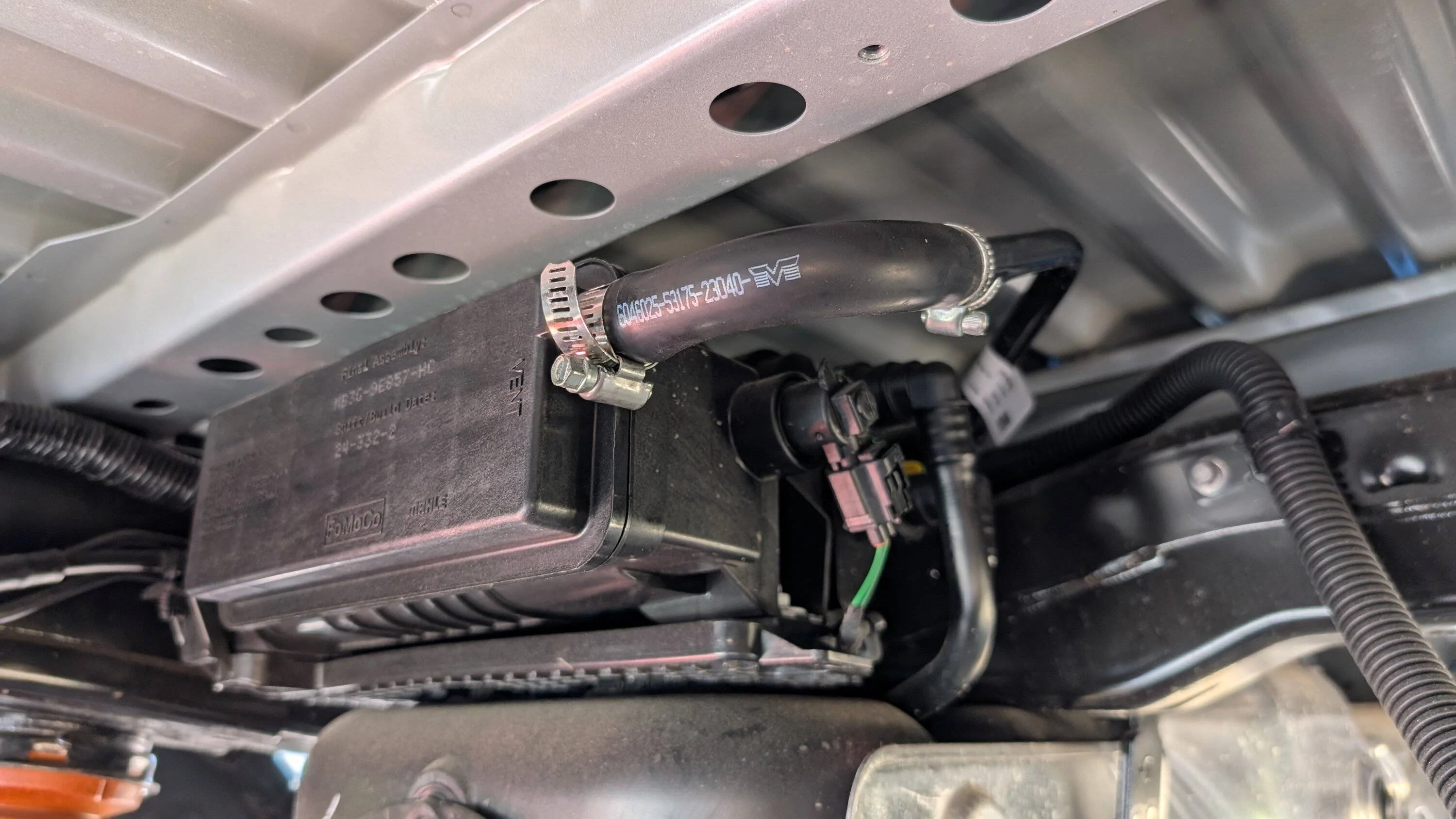 Ford Ranger RAT? Chewed thru EVAP can vent tube 90deg silicone rubber elbow coupling and Dealer Invoiced $154.50 for part! PXL_20250710_182244975.MP