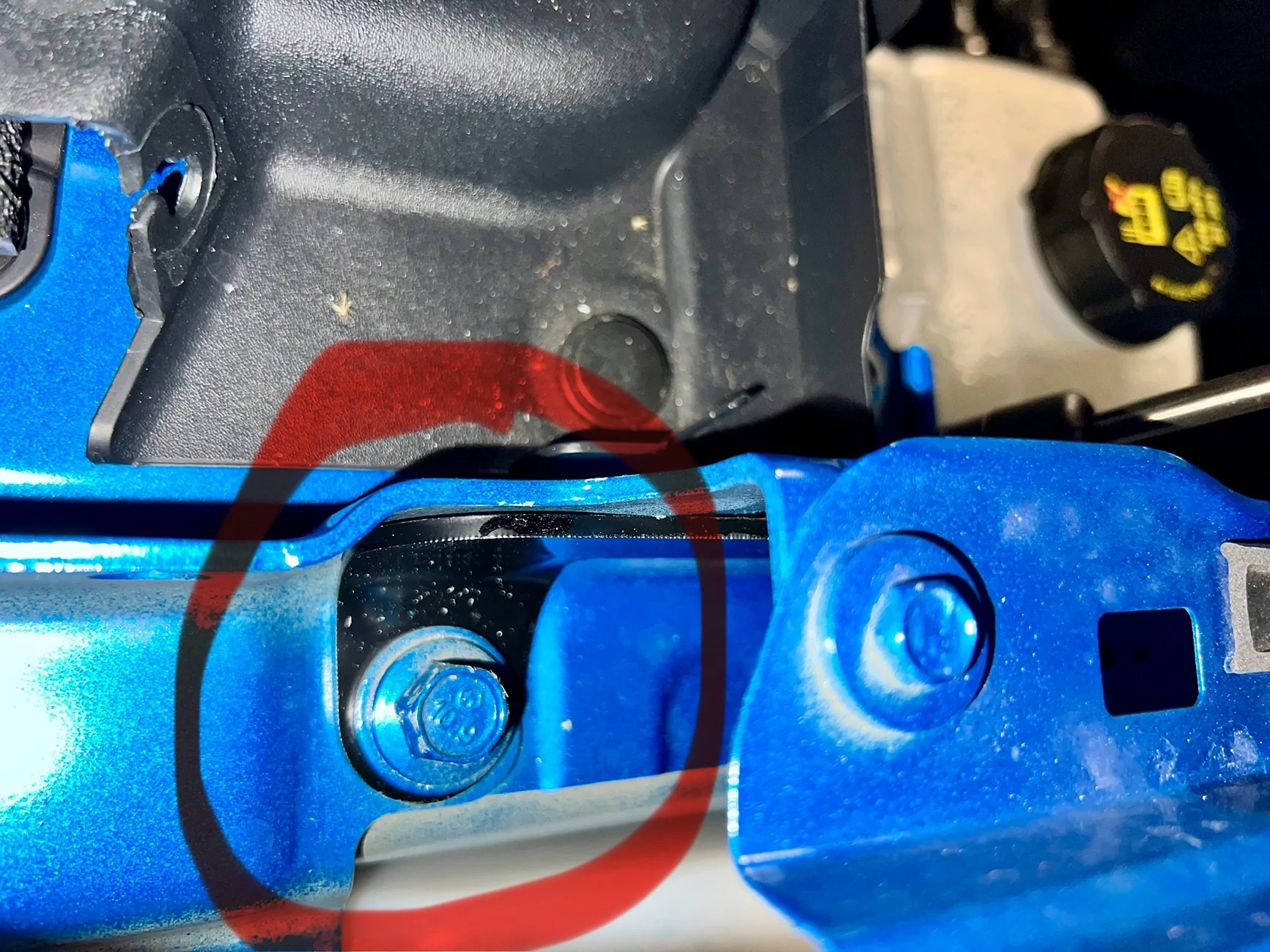 Ford Ranger Added hood struts/lifts to my 2025 STX from Amazon. No flex. Very pleased. Going to get them for my son’s 2025 XLT too. IMG_6720