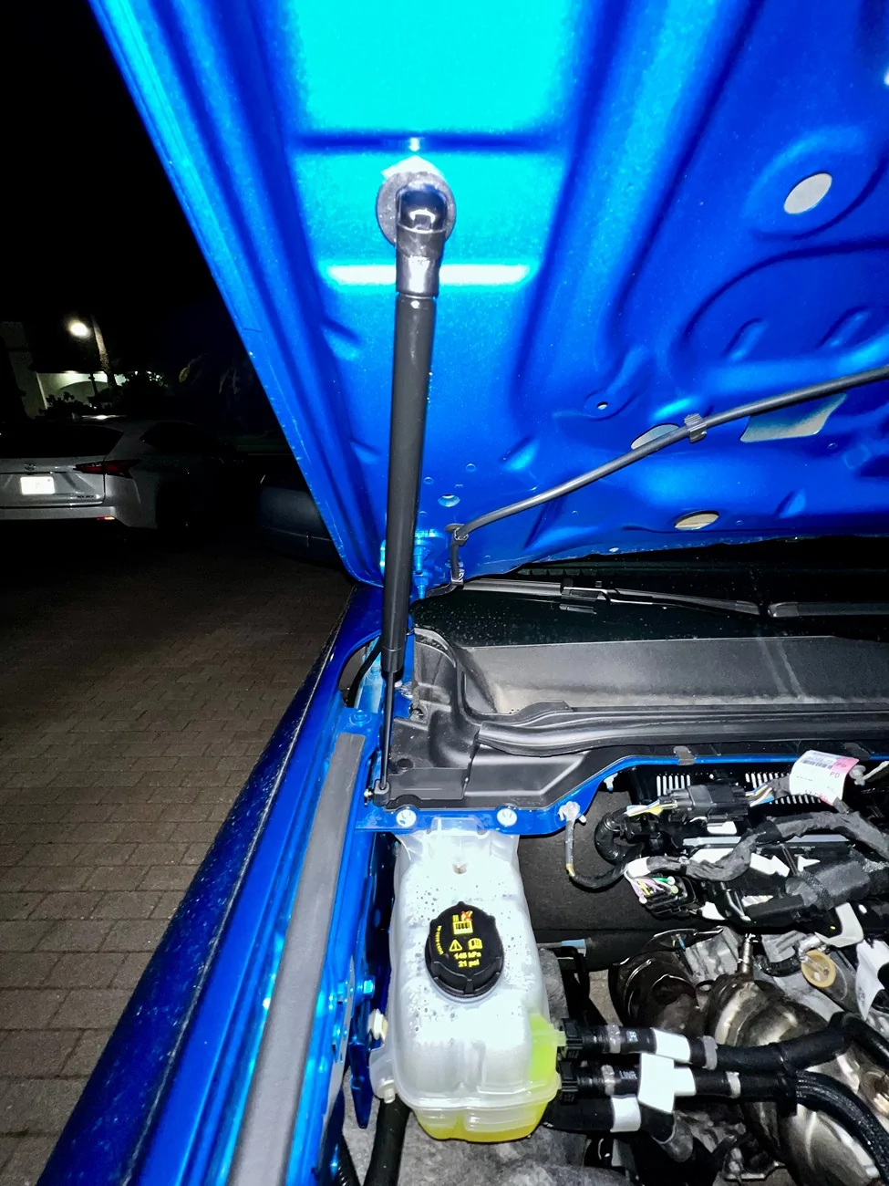 Ford Ranger Added hood struts/lifts to my 2025 STX from Amazon. No flex. Very pleased. Going to get them for my son’s 2025 XLT too. IMG_6729
