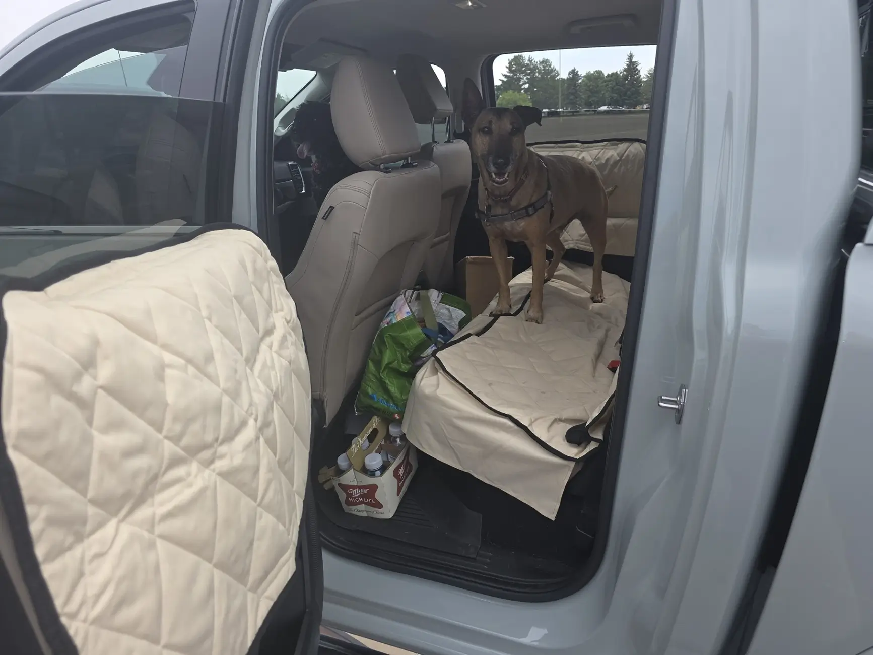 Ford Ranger Backseat protector for dogs 1754665003135-hv