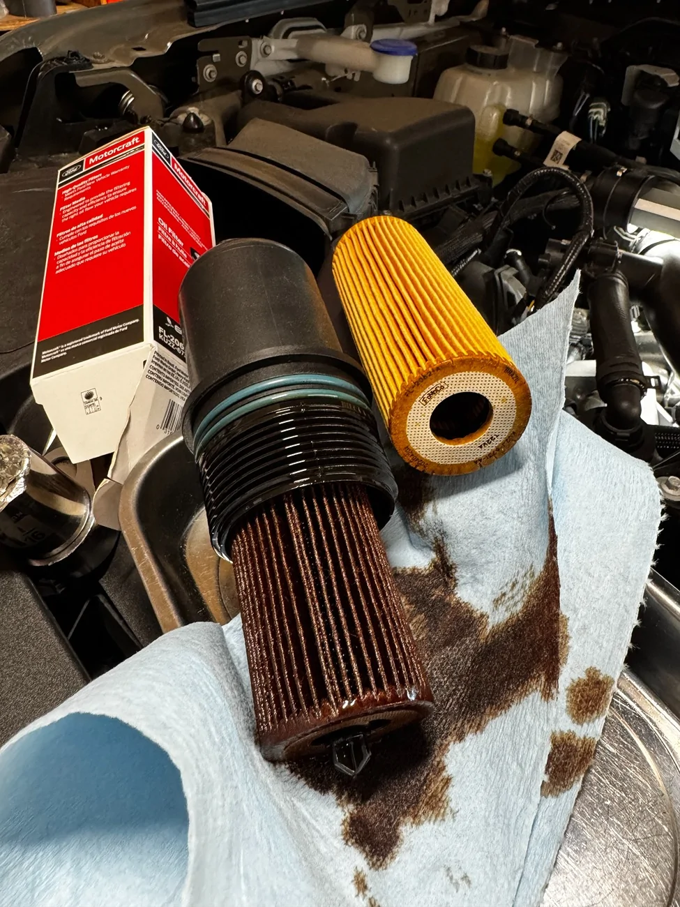 Ford Ranger First Oil Change at 500 miles IMG_2834