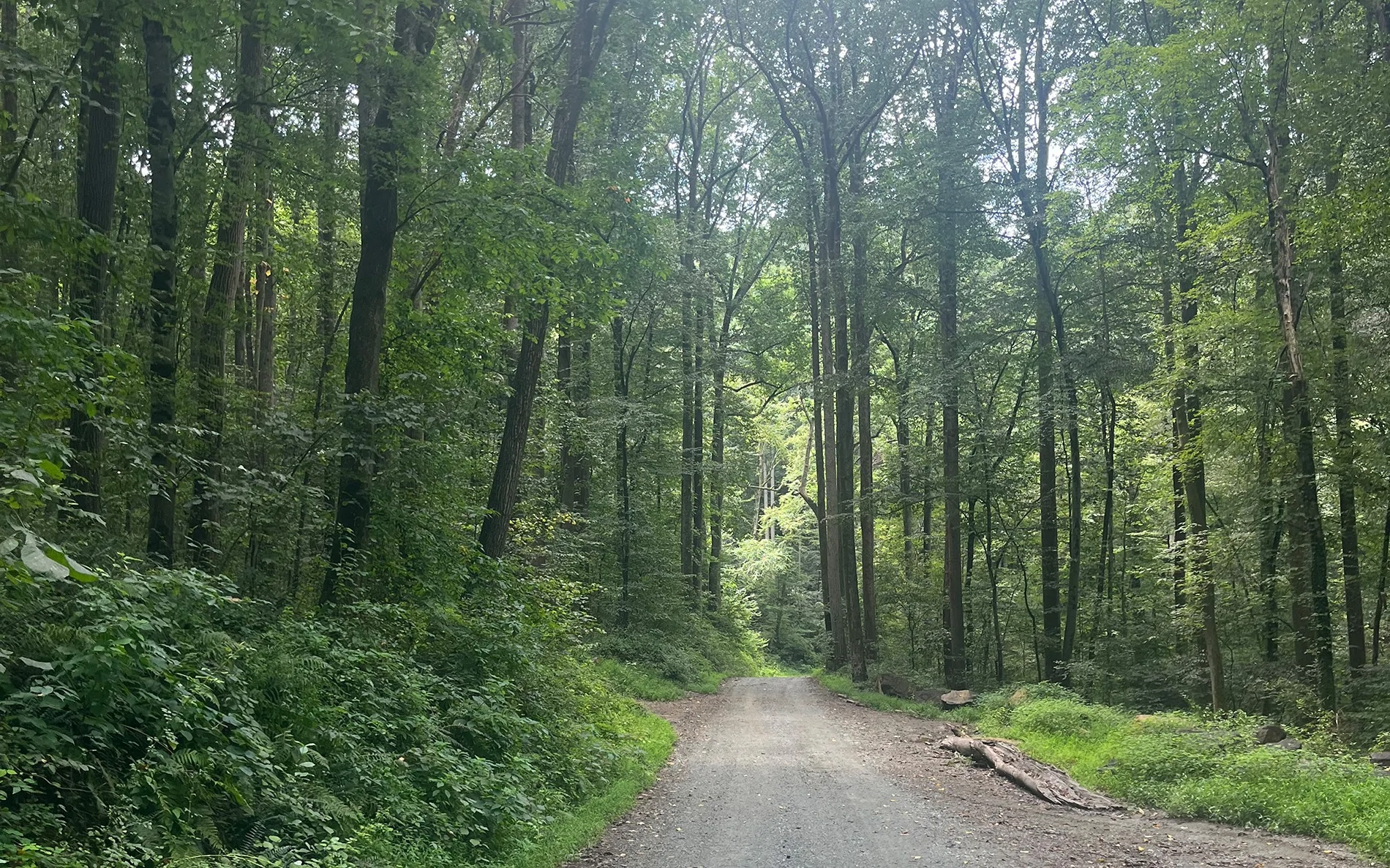 Ford Ranger Fishing Creek Nature Preserve - PA trailtrees