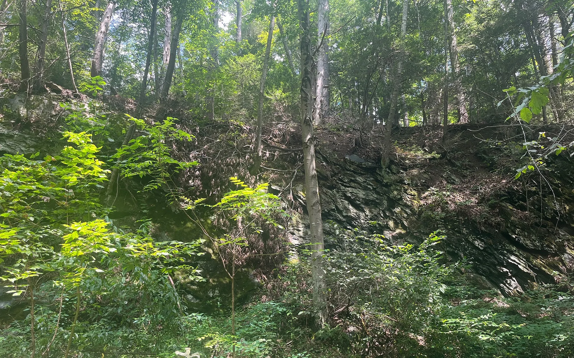 Ford Ranger Fishing Creek Nature Preserve - PA rockwall