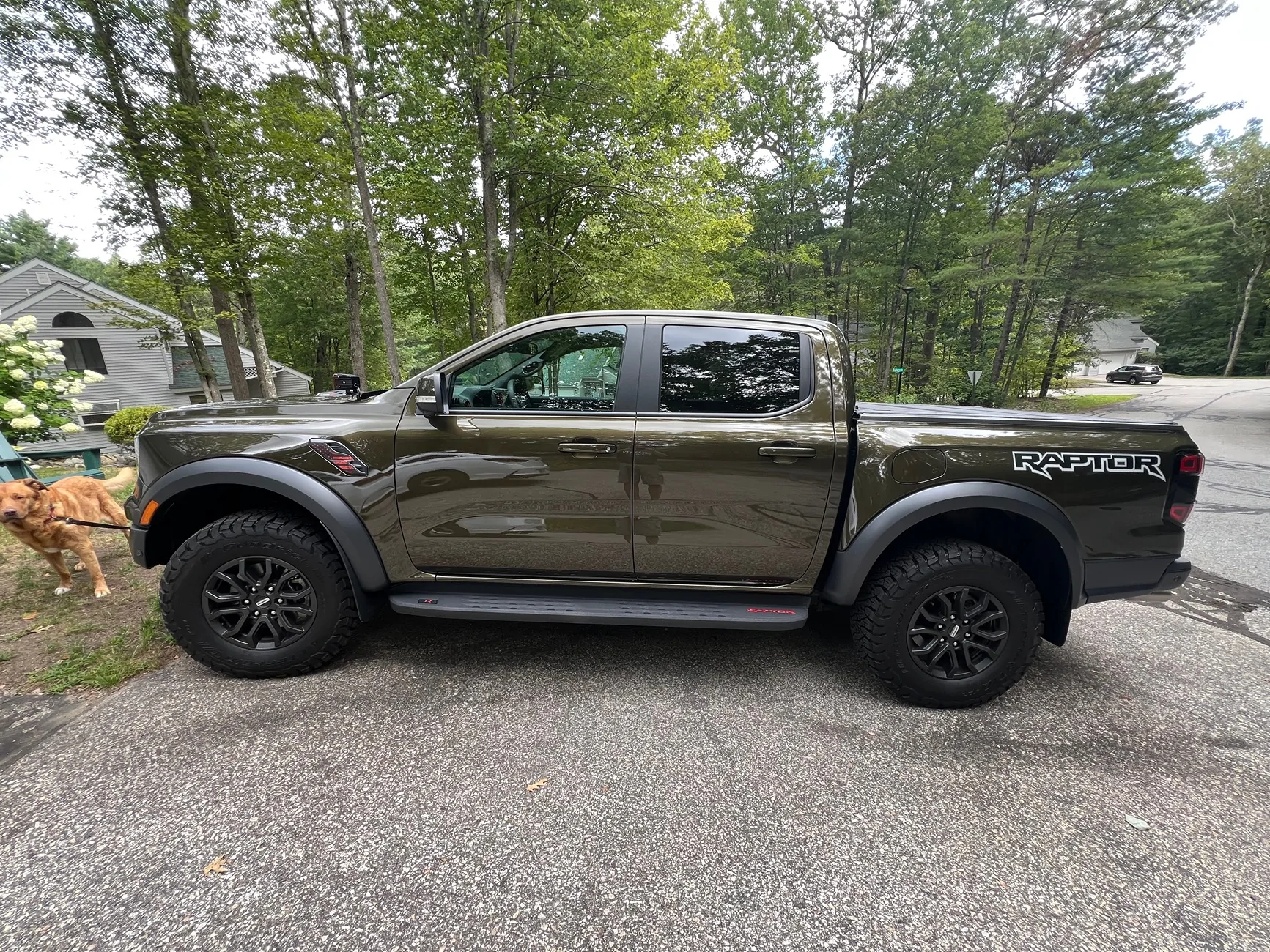 Ford Ranger Confused-Anyone? IMG_1472