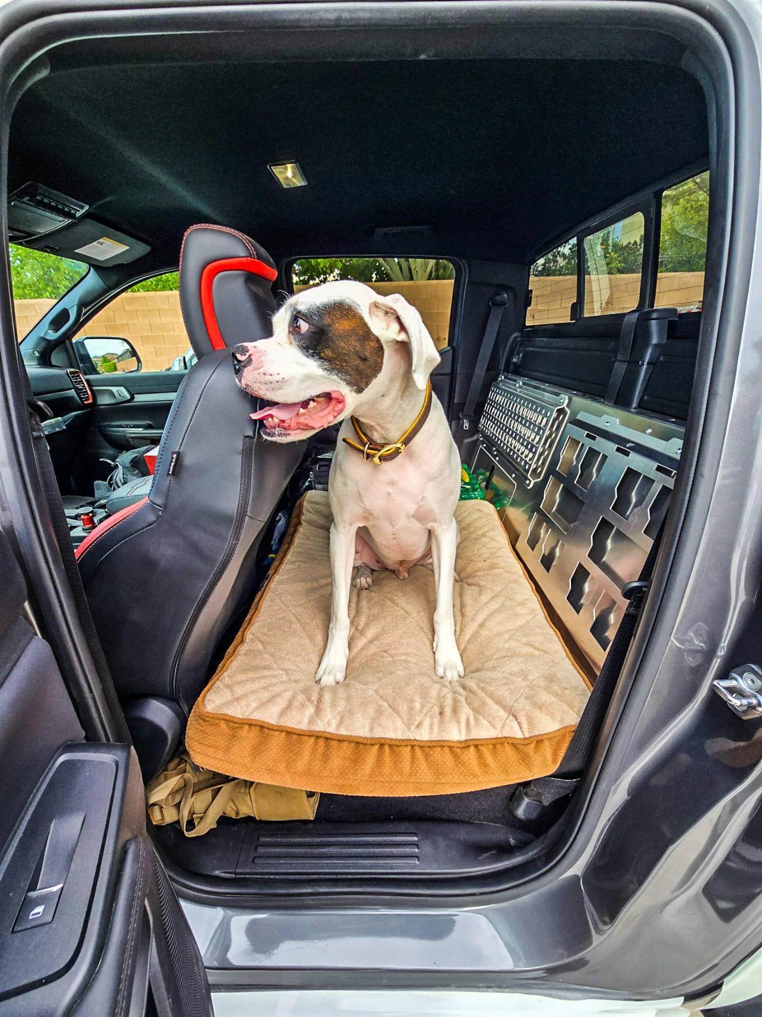 Ranger Rear Seat Delete - Boxer Approved-2.jpg