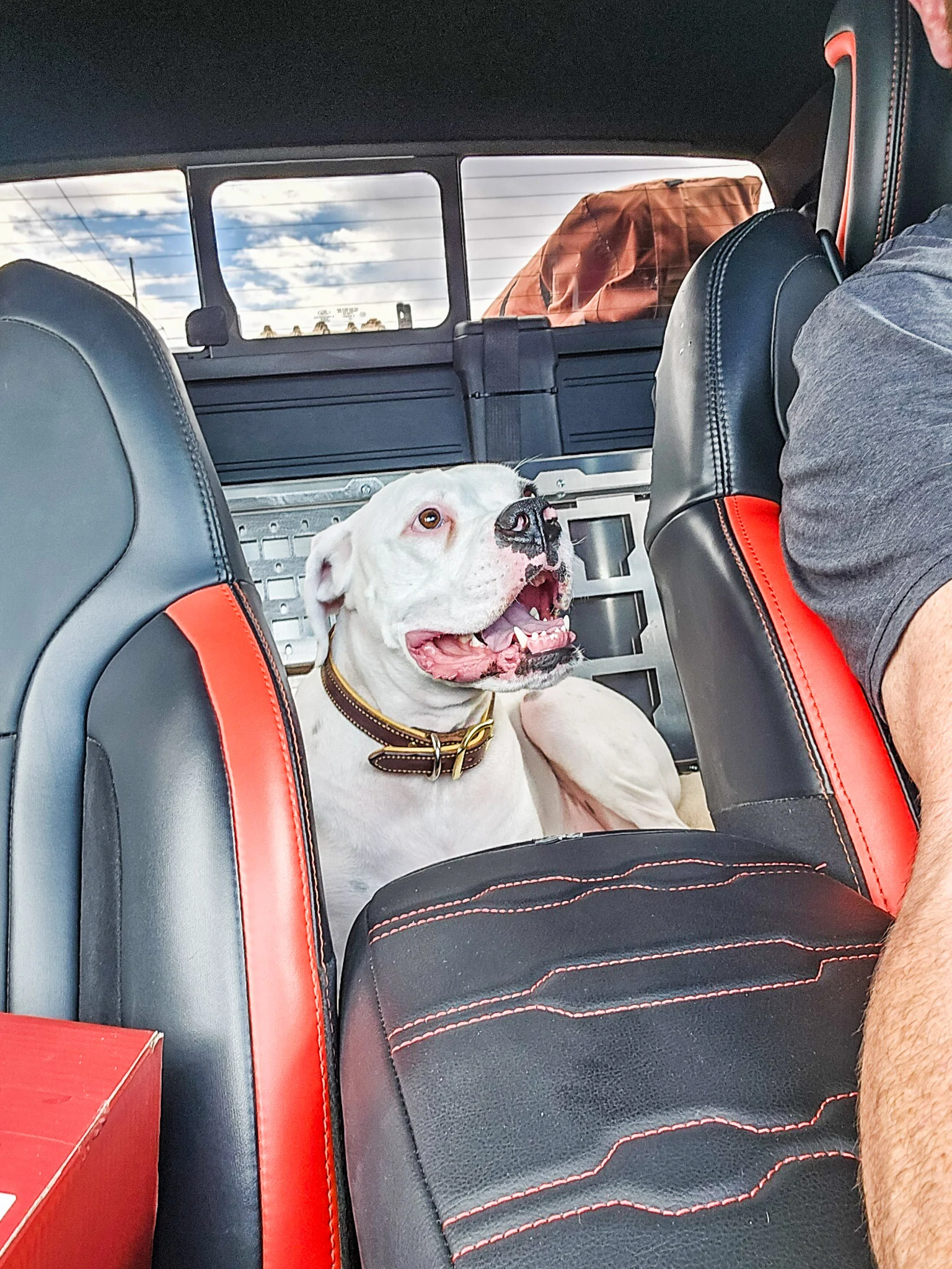 Ranger Rear Seat Delete - Boxer Approved-3.jpg