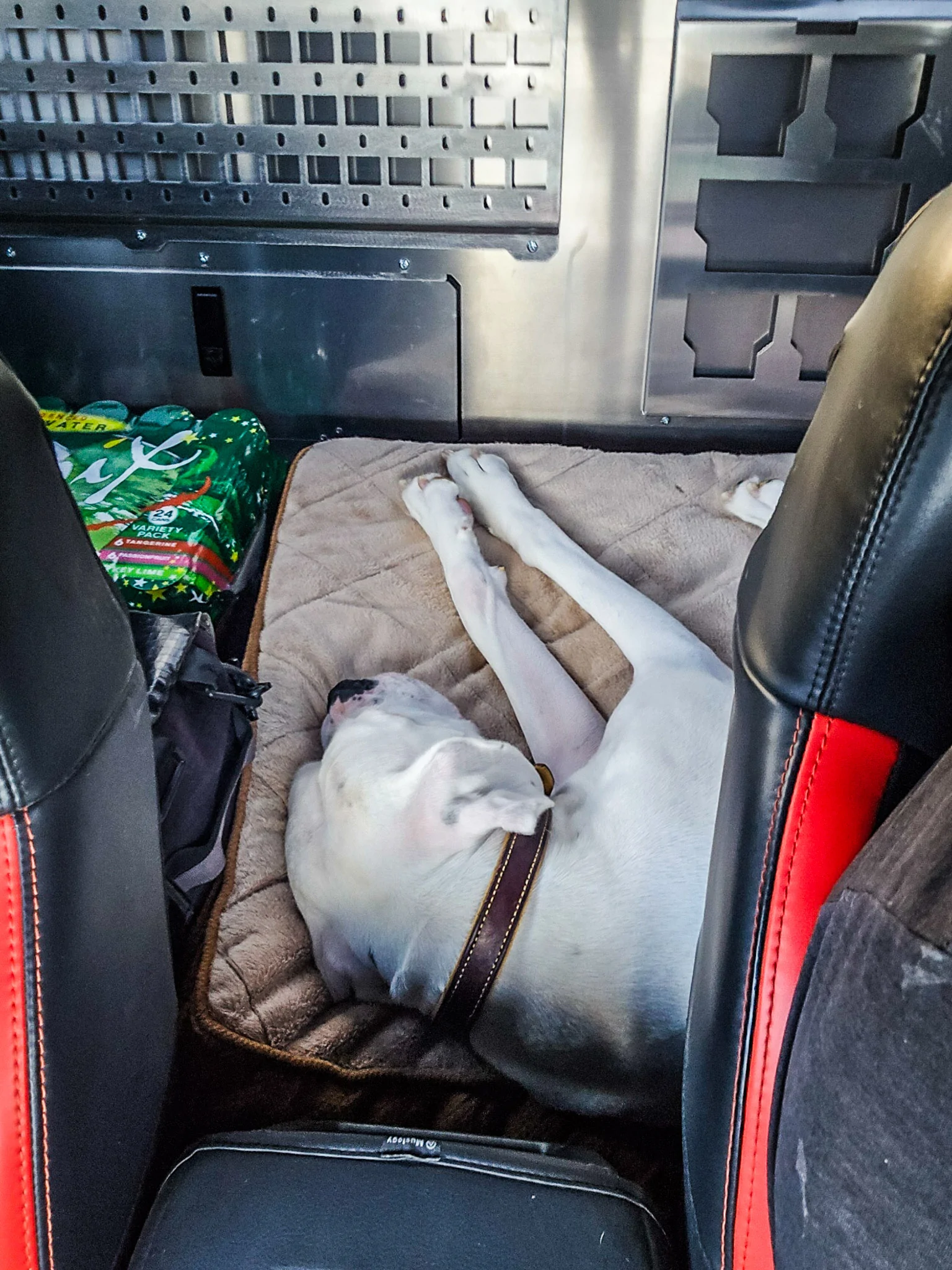 Ranger Rear Seat Delete - Boxer Approved-4.jpg