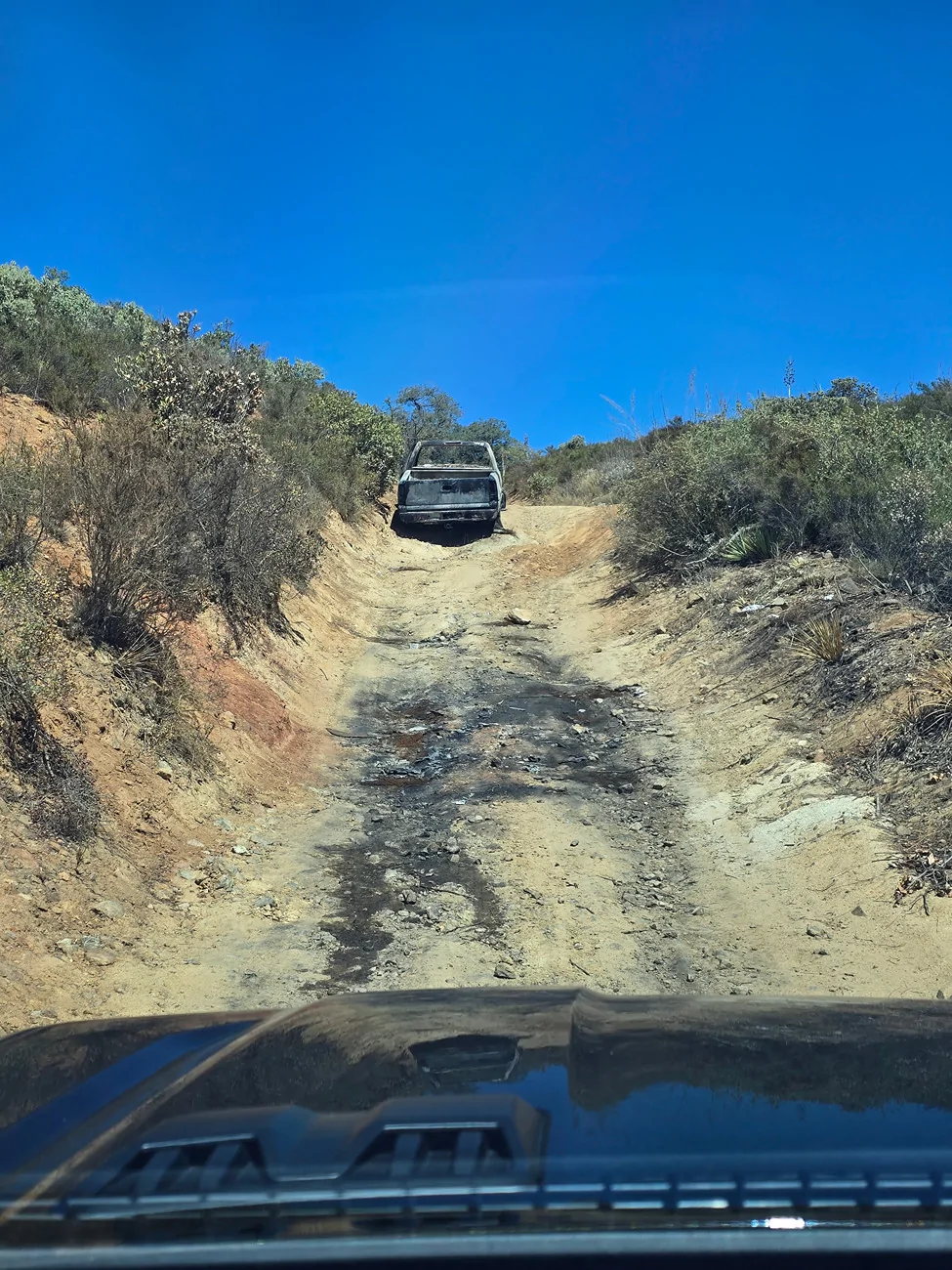 Ford Ranger Ranger Raptor Photos Thread - Post Your Random Dailys 📸 20250920_123103