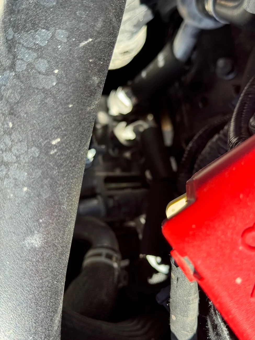 Ford Ranger Noise from AC compressor. Normal? IMG_4403