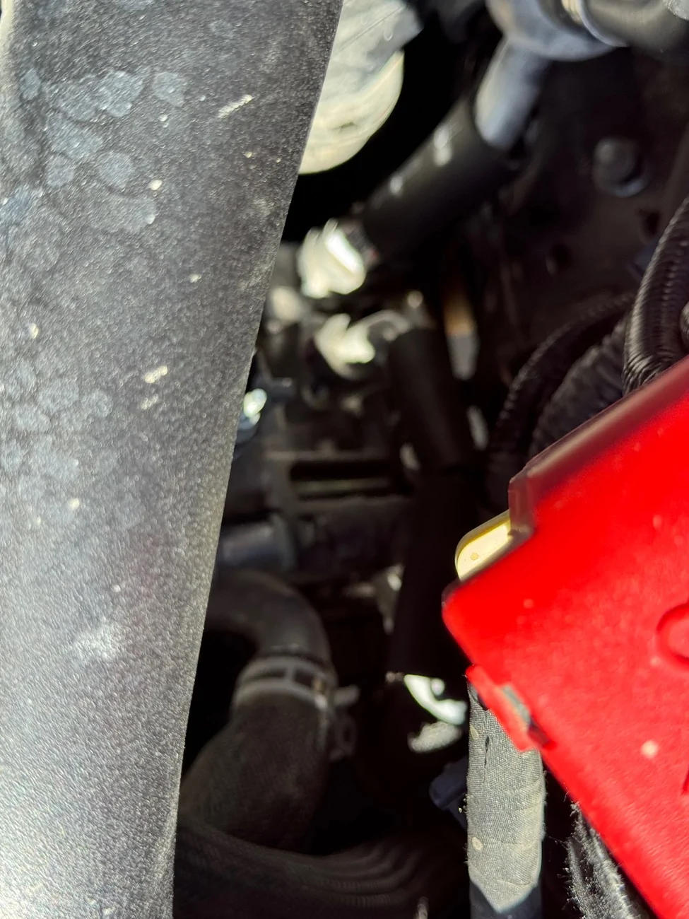 Ford Ranger Noise from AC compressor. Normal? IMG_4404