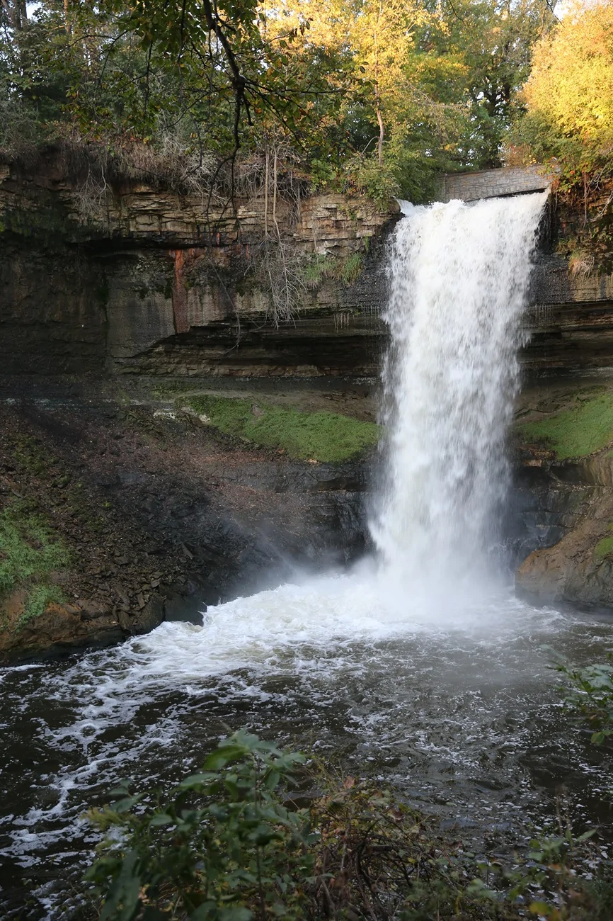 DC5R4102.webp