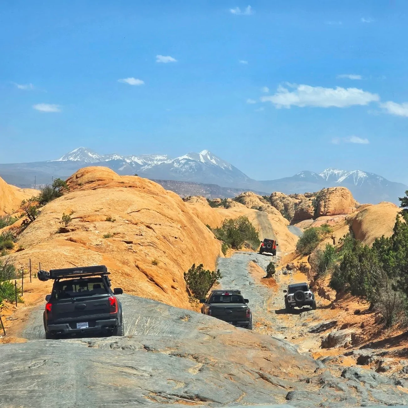 Ford Ranger Ranger Raptor Photos Thread - Post Your Random Dailys 📸 IMG_1116