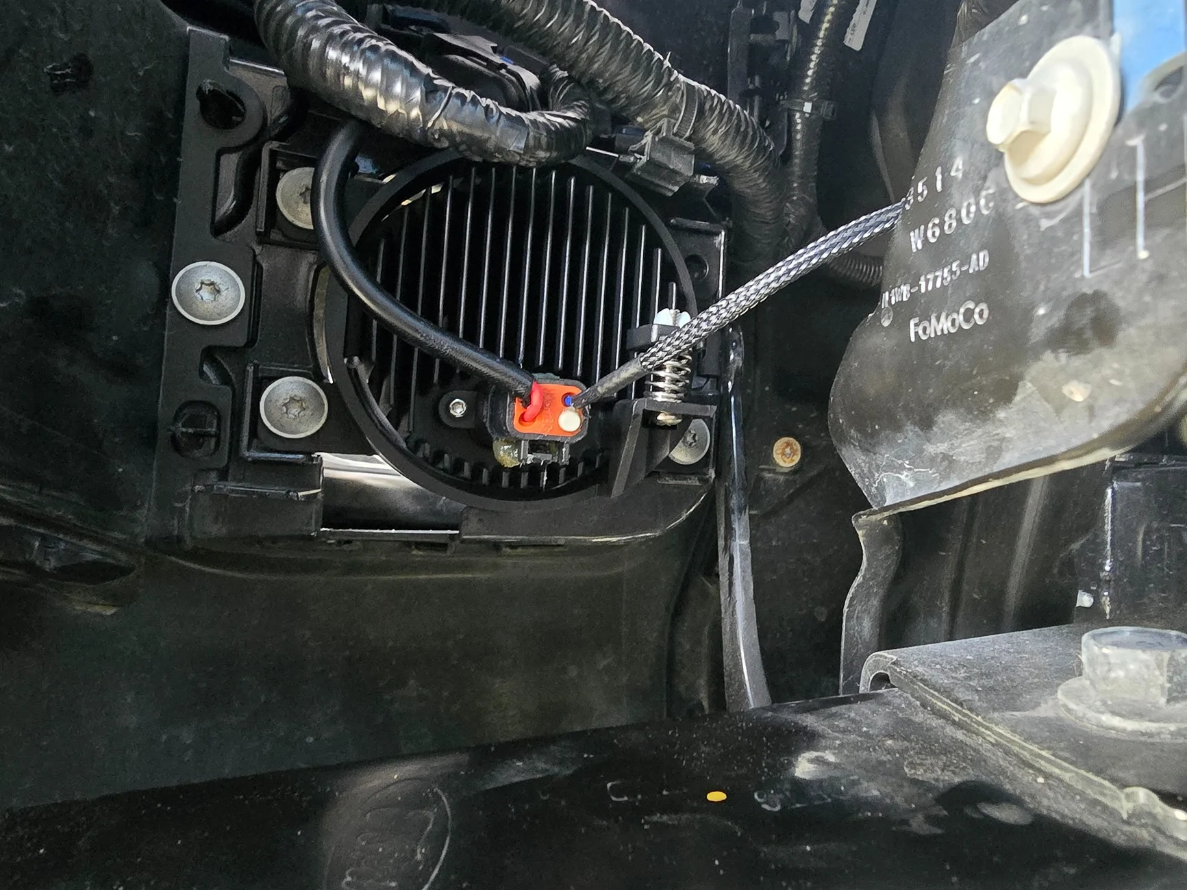 Ford Ranger Diode Dynamics H11 SL2 reviews / feedback? 20250614_115619