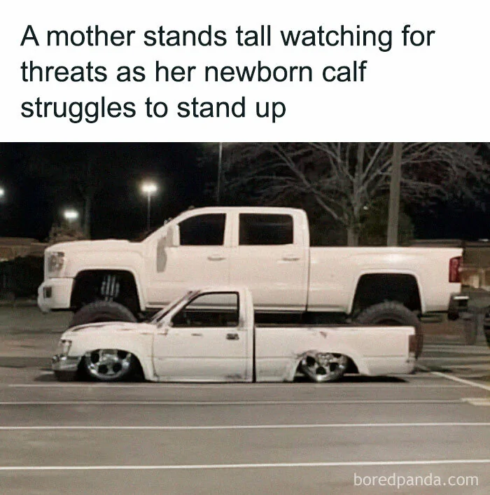Ford Ranger Let’s see your Memes! 1765130768290-87