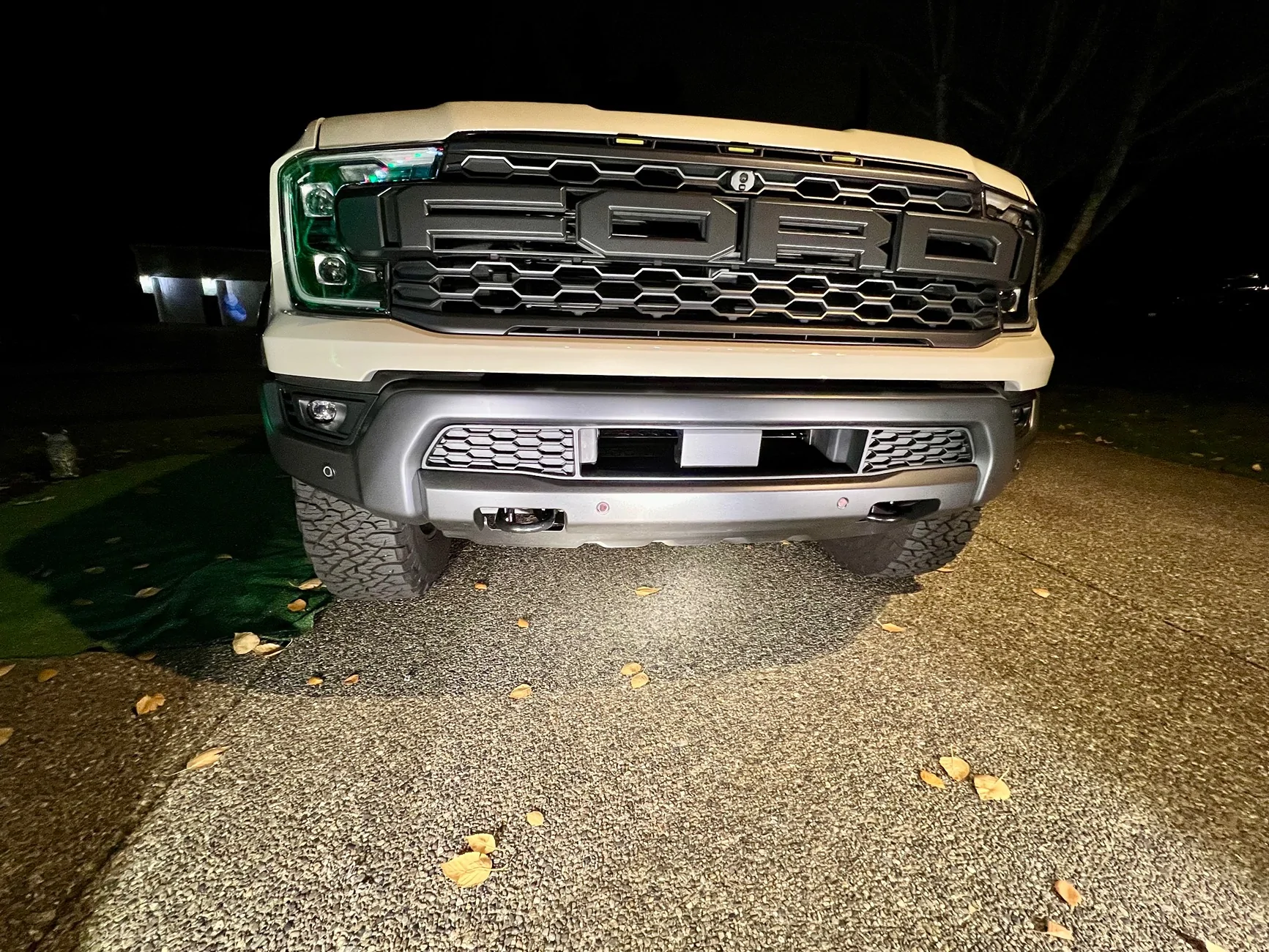 Ford Ranger Painted Front Fascia and Skid Plate Questions IMG_1682