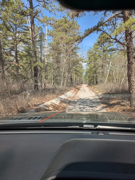 1767384082500-88.webp