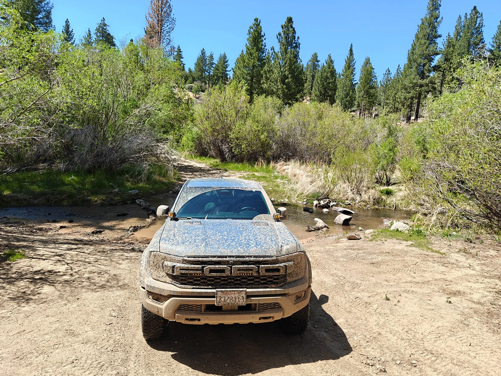 Ford Ranger Ranger Raptor at Dirtfish Rally School 4x4 track - lotsa water and dirt IMG20250524144358