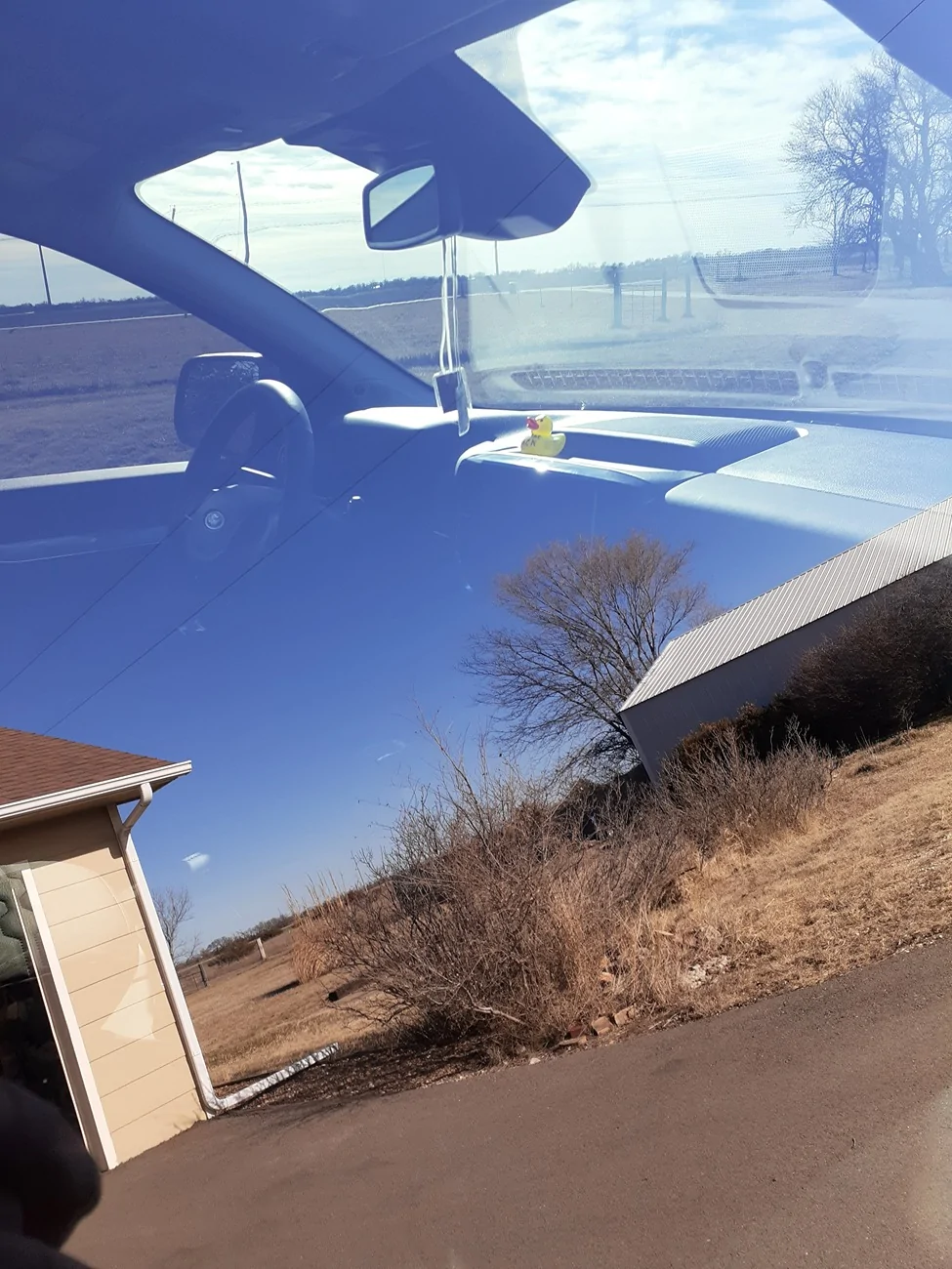 Ford Ranger Is PPF worth it? 20260106_130116
