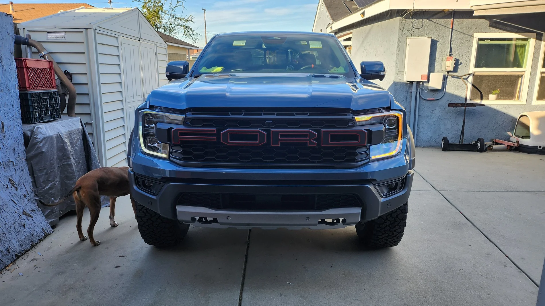 Ford Ranger RC MUSTANG Azure Gray Raptor Build 20260117_153723