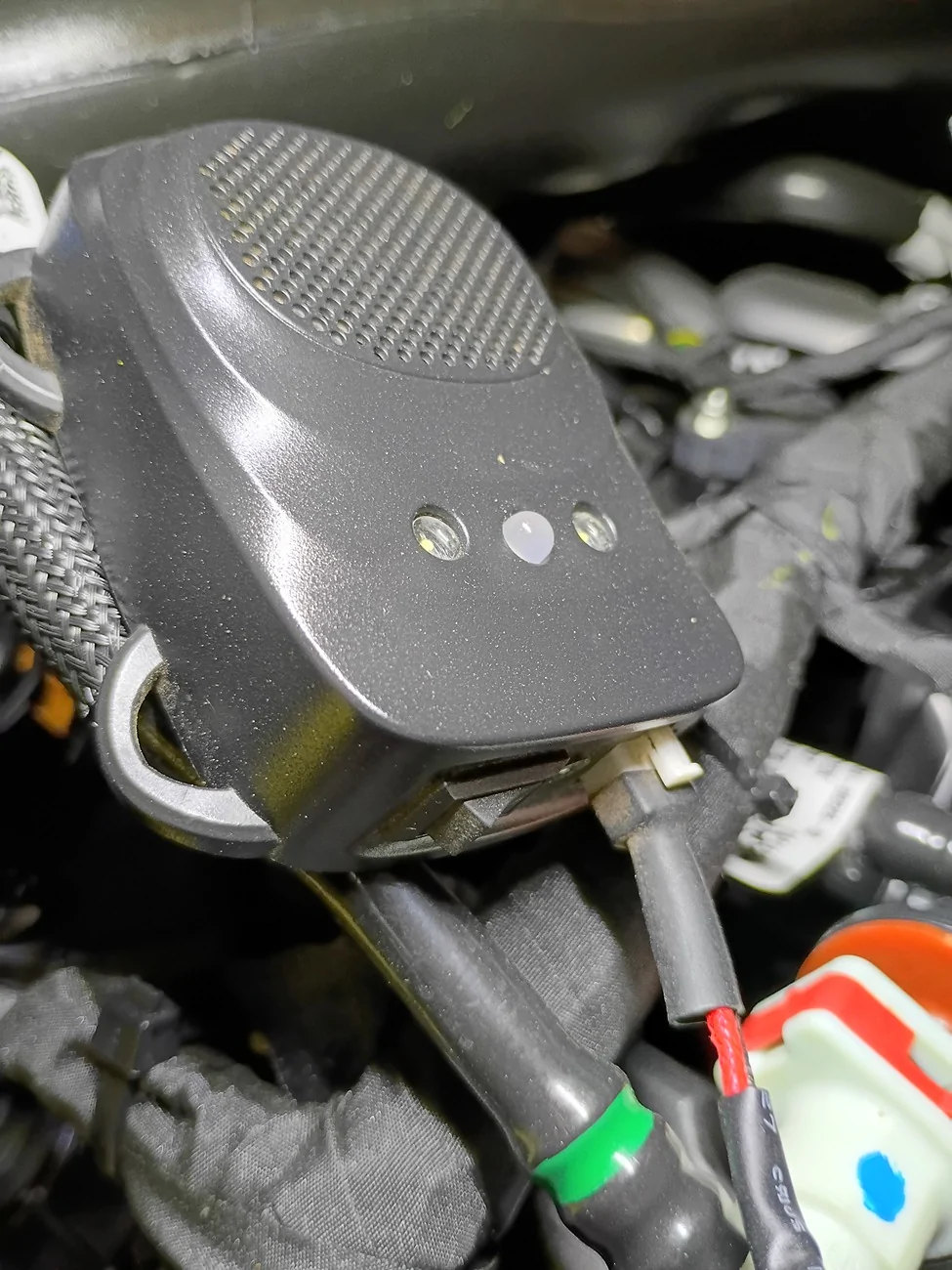 Ford Ranger 25 rangef XL underhood rodent prevention {filename}