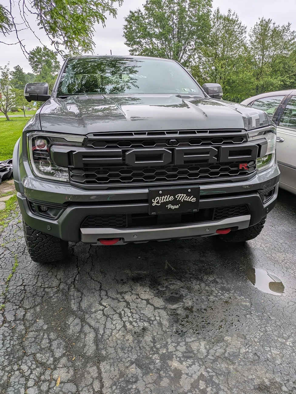 Ford Ranger Lets see those Pennsylvania Raptors PXL_20250614_164401935