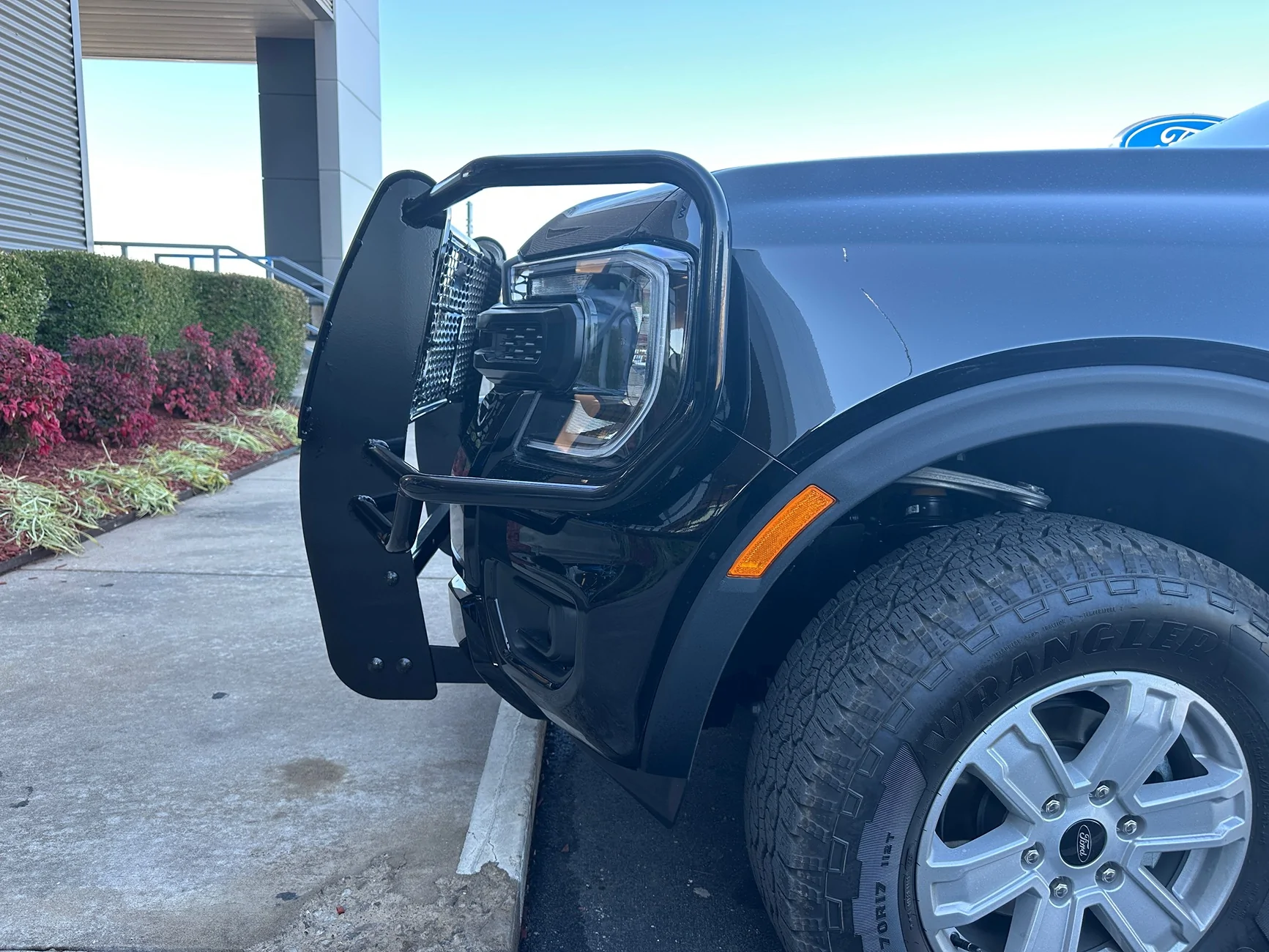 Ford Ranger Brush Guard/Bull Bar Options IMG_6617