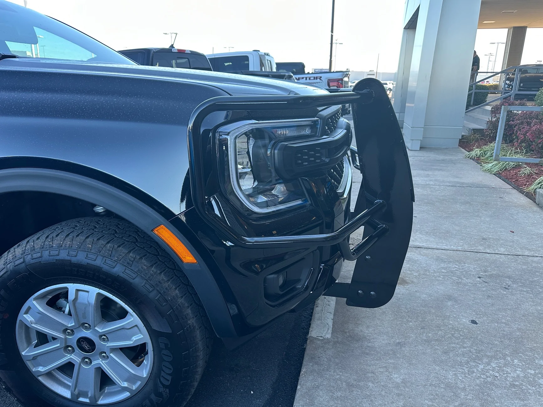 Ford Ranger Brush Guard/Bull Bar Options IMG_6618