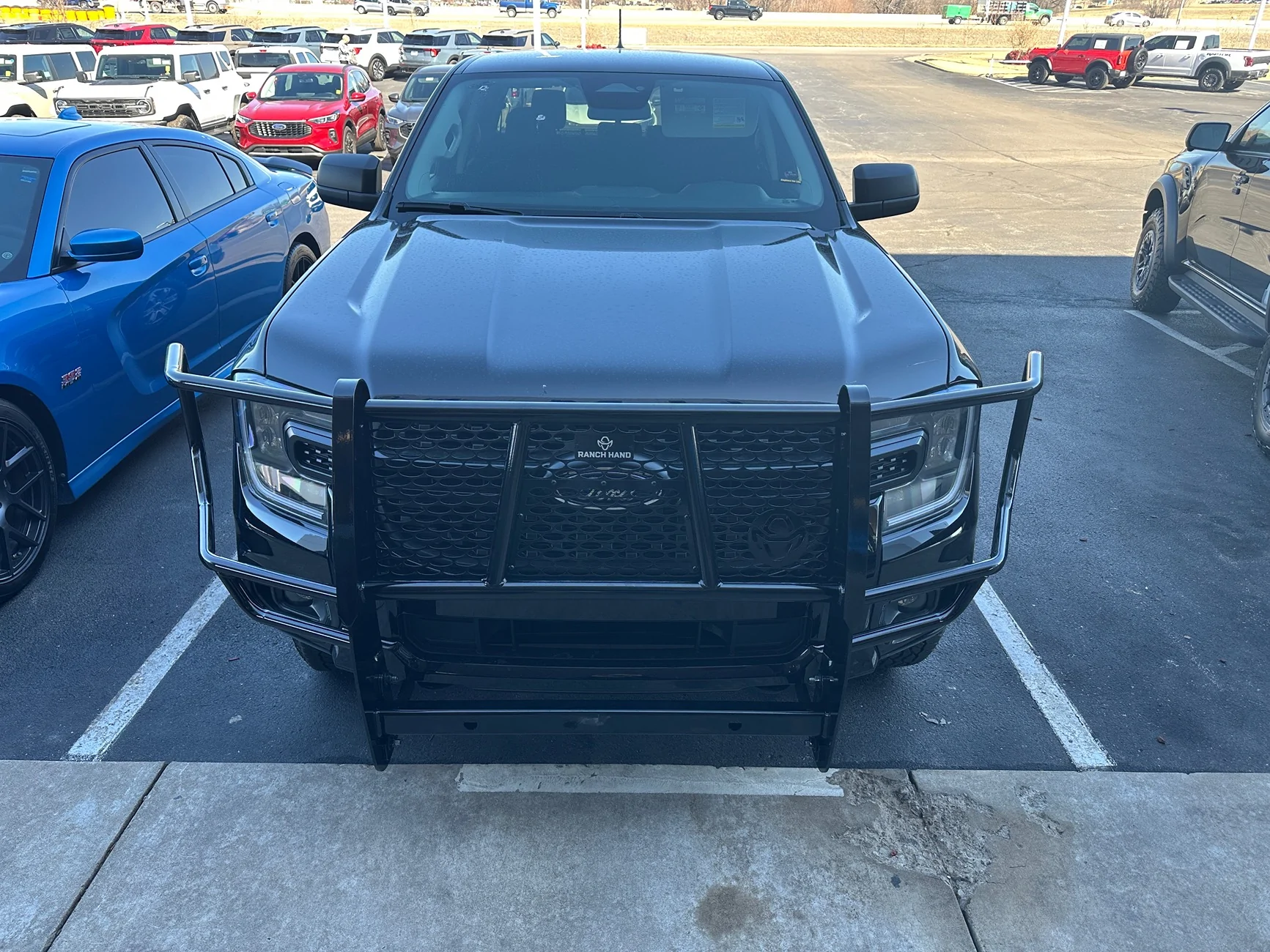 Ford Ranger Brush Guard/Bull Bar Options IMG_6616